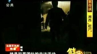 赶尸先生国语在线观看,神秘传说，惊悚揭秘  第3张