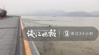 记者爆料钱塘江视频,揭秘事件背后惊人真相 第3张 记者爆料钱塘江视频,揭秘事件背后惊人真相 第3张
