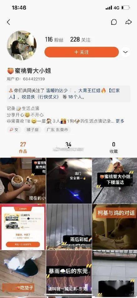 辛巴爆料完整版视频下载,揭秘背后真相与惊人内幕  第2张